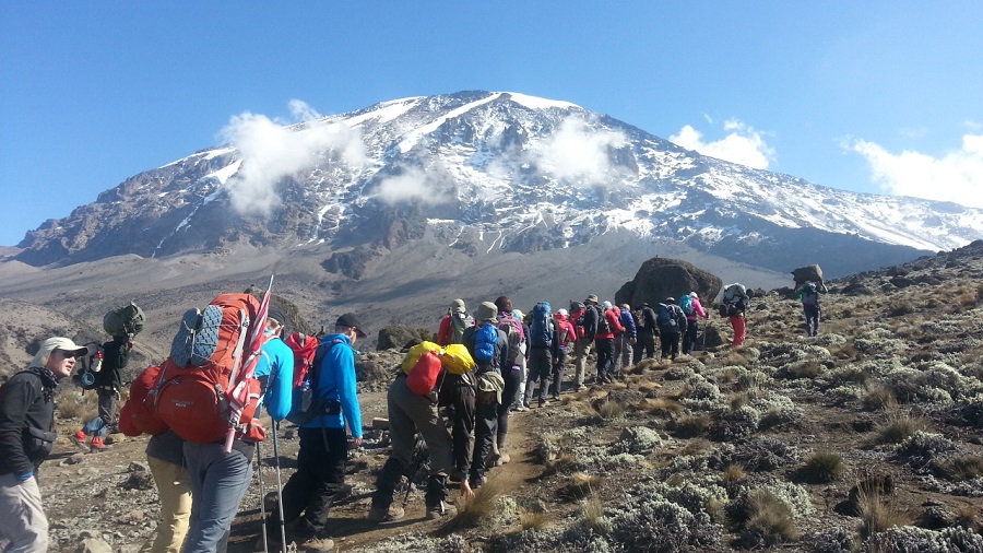 7Days-lemosho-Route